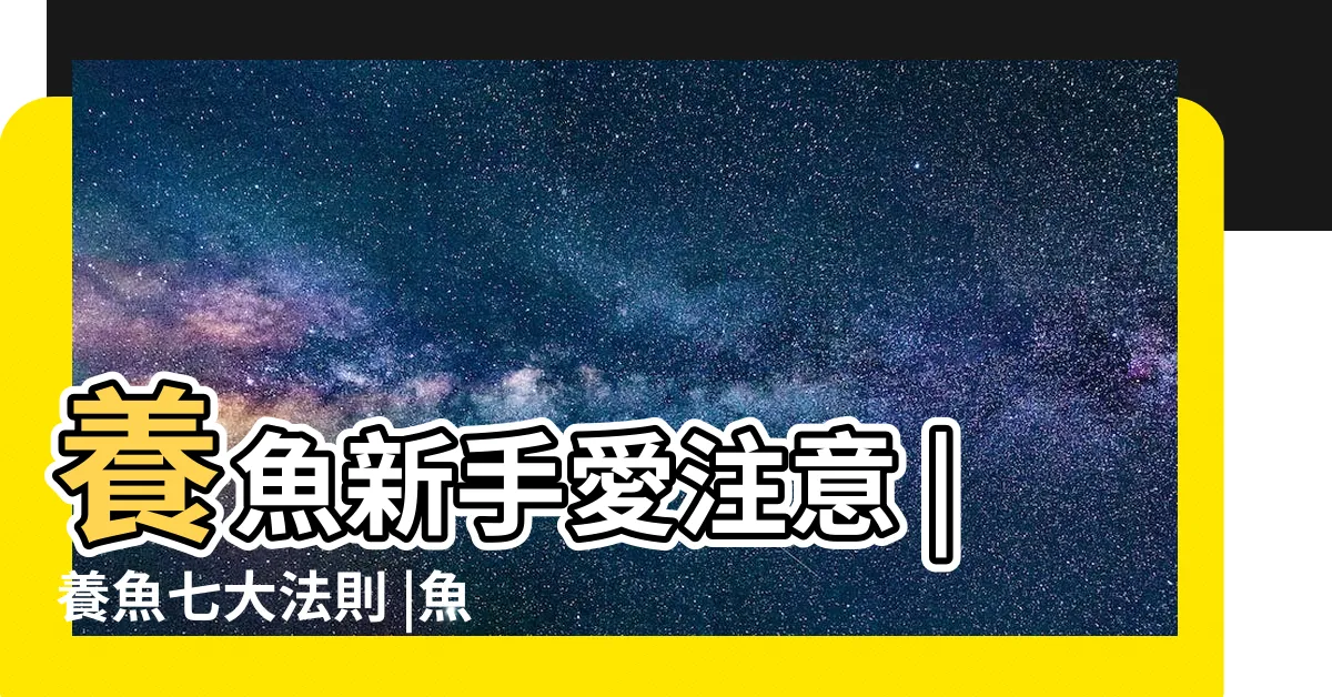 【魚養】養魚新手愛注意 |養魚七大法則 |魚到底要怎麼養才健康 |