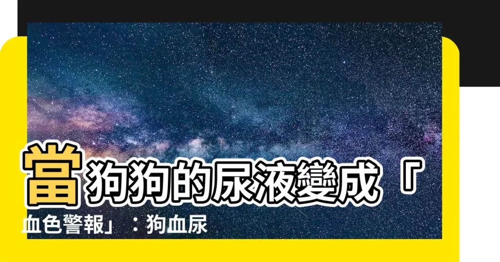 【狗血尿血塊】當狗狗的尿液變成「血色警報」:狗血尿血塊成因、症狀與應變指南