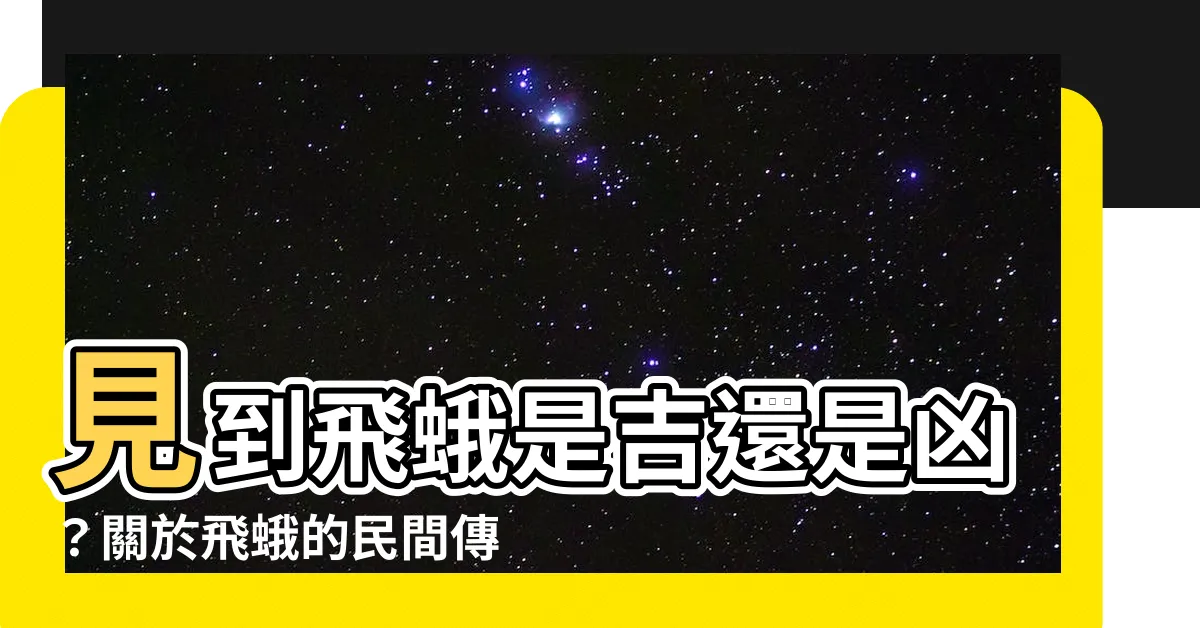 【見到飛蛾】見到飛蛾是吉還是兇？關於飛蛾的民間傳説揭秘！