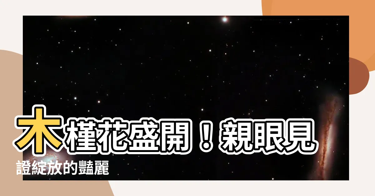 【木瑾花】木槿花盛開！親眼見證綻放的豔麗