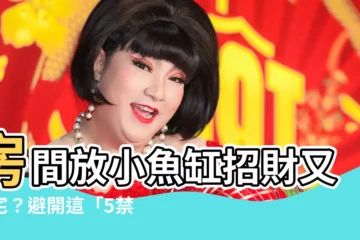 【房間放小魚缸】房間放小魚缸招財又旺宅？避開這「5禁忌」財運滿滿不跑掉！