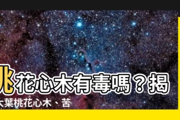 【桃花心木有毒嗎】桃花心木有毒嗎？揭曉大葉桃花心木、苦楝和「向天果」的秘密