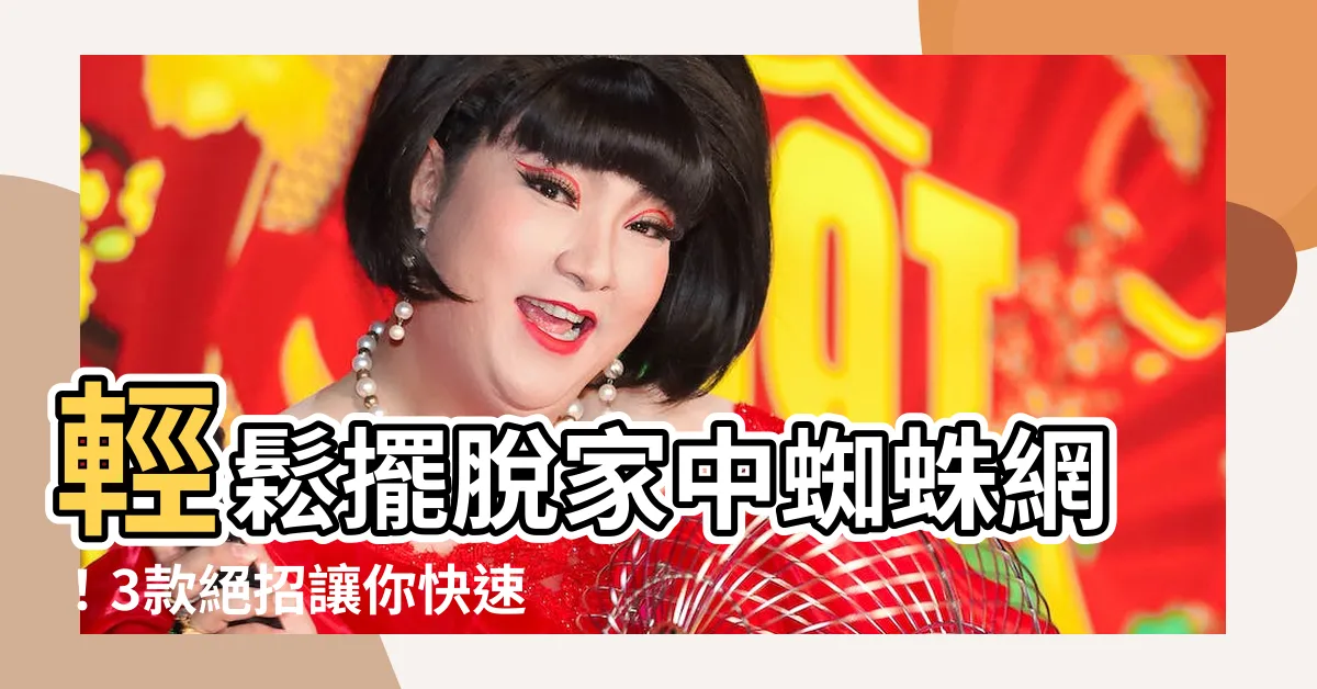 【清蜘蛛網】輕鬆擺脱家中蜘蛛網！3款絕招讓你快速清蜘蛛網