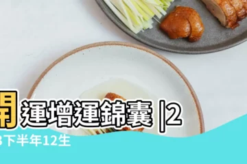 【屬蛇生肖運程】開運增運錦囊 |2023下半年12生肖運程屬蛇屬狗桃花最旺屬兔犯太歲有幾運滯 |屬蛇桃花旺魅力急升隨時閃婚 |