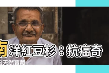 【南洋紅豆杉】南洋紅豆杉：抗癌奇蹟的天然寶藏