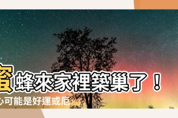 【蜜蜂來家裡築巢】蜜蜂來家裡築巢了！小心可能是好運或厄運的徵兆