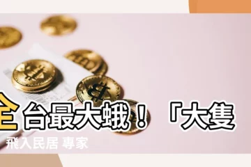 【大隻蛾】全台最大蛾！「大隻蛾」飛入民居 專家：本港罕見