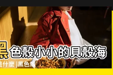 【黑色的貝殼是什麼海產品】黑色殼小小的貝殼海鮮是什麼 |黑色殼小小的貝殼海鮮是什麼 |黑色的貝殼海鮮叫什麼怎麼讀 |