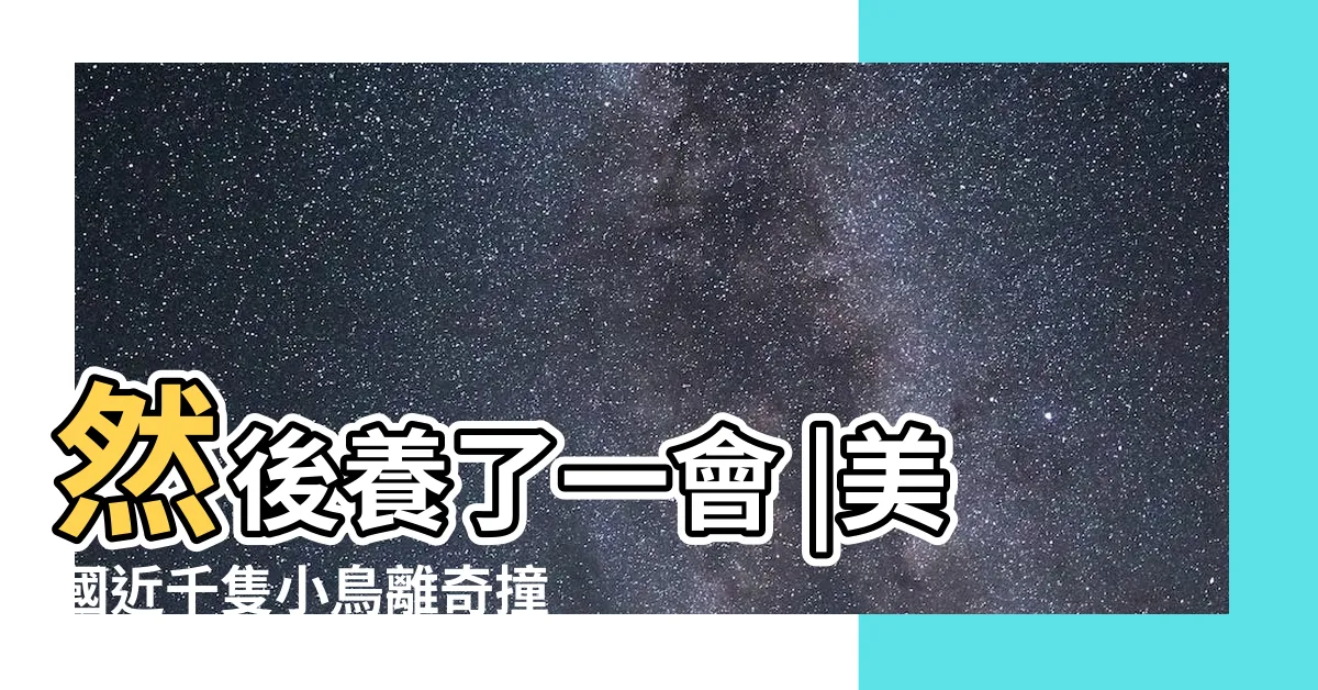 【小鳥突然死掉】然後養了一會 |美國近千隻小鳥離奇撞樓死亡 |盤點導致鸚鵡死亡的20個原因 |