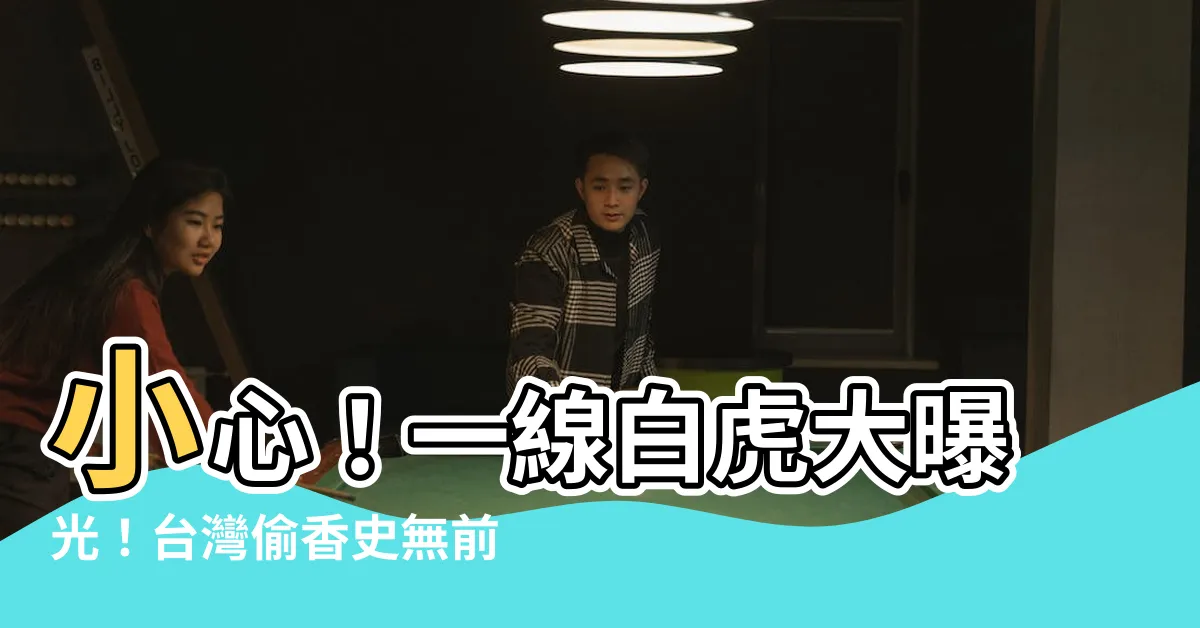 【一線白虎】小心！一線白虎大曝光！台灣偷香史無前例