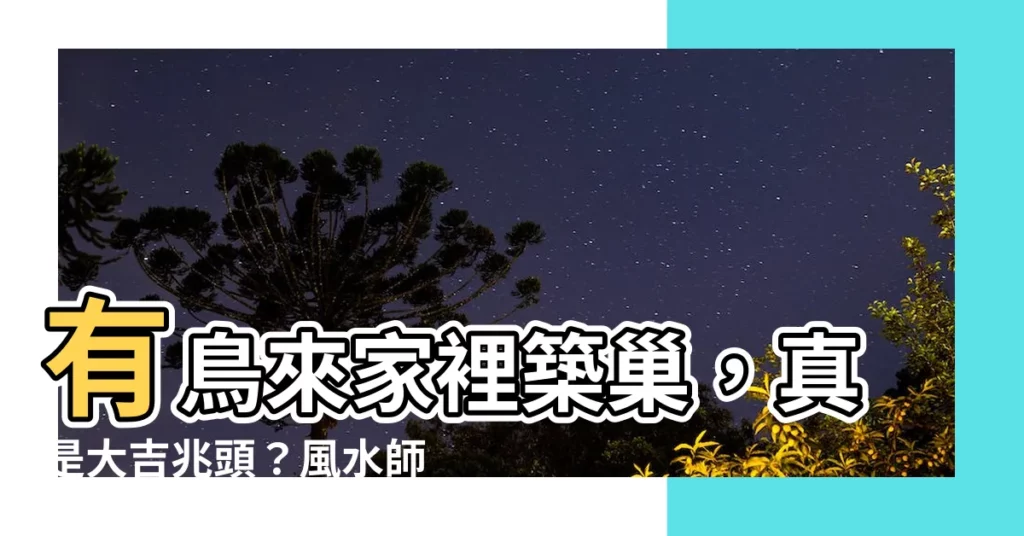 【有鳥來家裡築巢】有鳥來家裡築巢，真是大吉兆頭？風水師：注意這些徵兆！