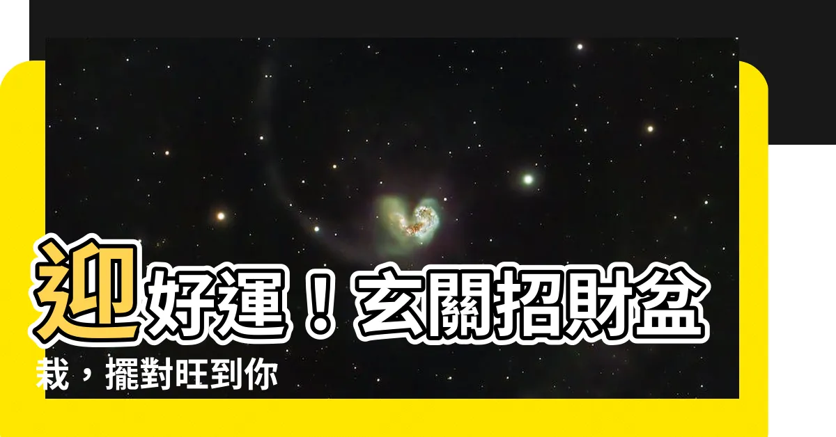 【玄關 盆栽】迎好運！玄關招財盆栽，擺對旺到你