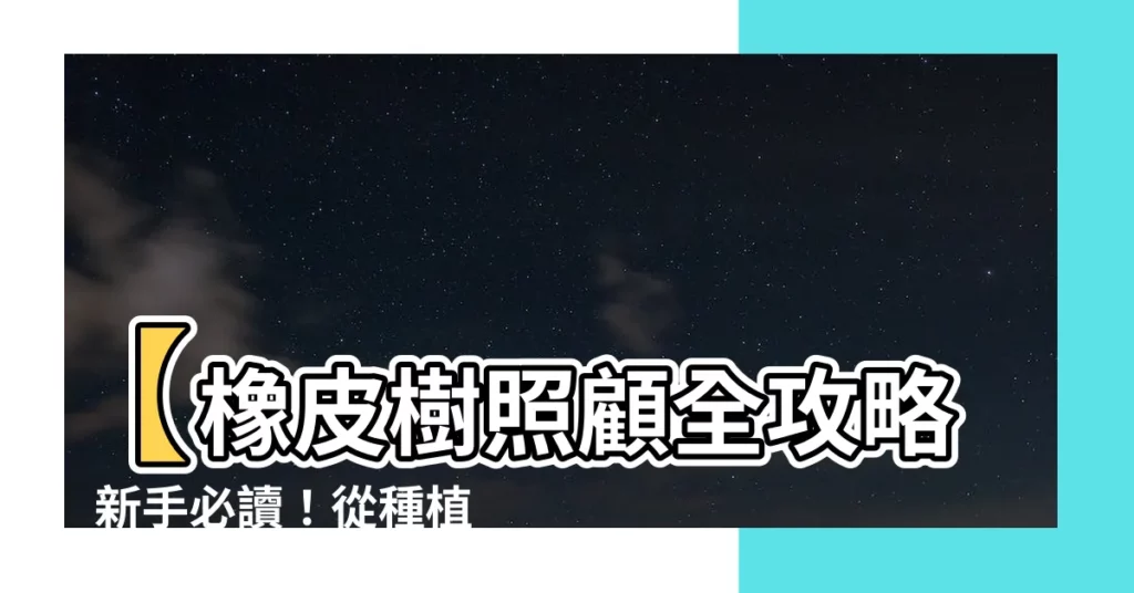 【橡皮樹照顧】【橡皮樹照顧全攻略】新手必讀！從種植到日常養護一次上手