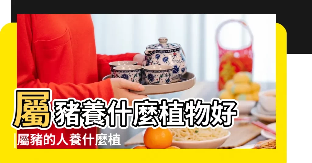 屬豬養什麼植物好 |屬豬的人養什麼植物可以旺財 |屬豬適合養什麼植物和花草 |【屬豬的人養什麼植物】