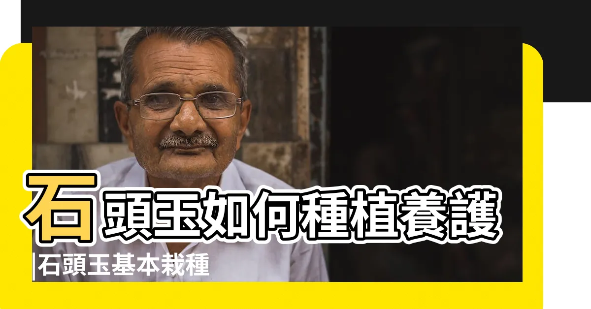 【石頭玉分株】石頭玉如何種植養護 |石頭玉基本栽種方式 |六大種植方法技巧一次告訴你 |
