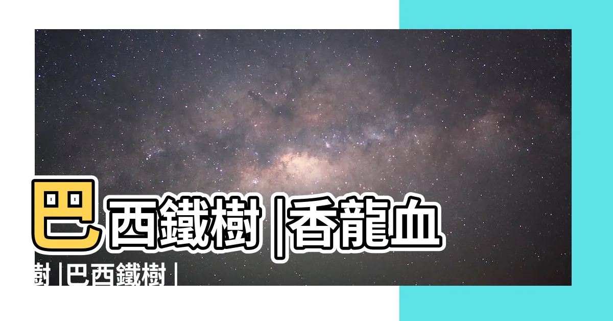 【巴西鐵樹】巴西鐵樹 |香龍血樹 |巴西鐵樹 |