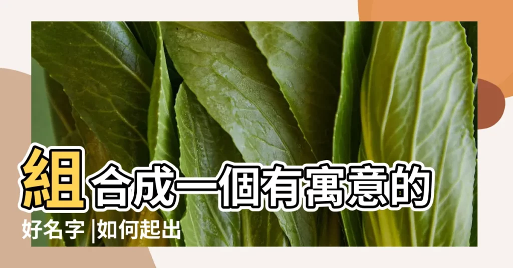 組合成一個有寓意的好名字 |如何起出大氣好聽的名字 |起名指南 |【比較特別有寓意的姓氏】