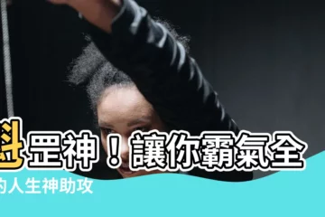 【魁罡神】魁罡神！讓你霸氣全開的人生神助攻