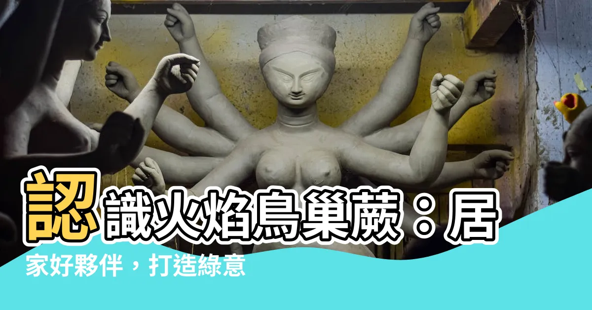 【火焰鳥巢蕨】認識火焰鳥巢蕨：居家好夥伴，打造綠意美景