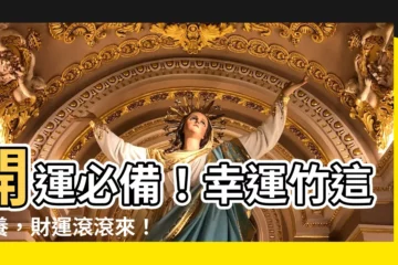 【幸運竹怎麼養】開運必備！幸運竹這樣養，財運滾滾來！