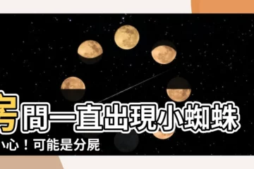 【房間一直出現小蜘蛛】房間一直出現小蜘蛛，小心！可能是分屍現場的前兆