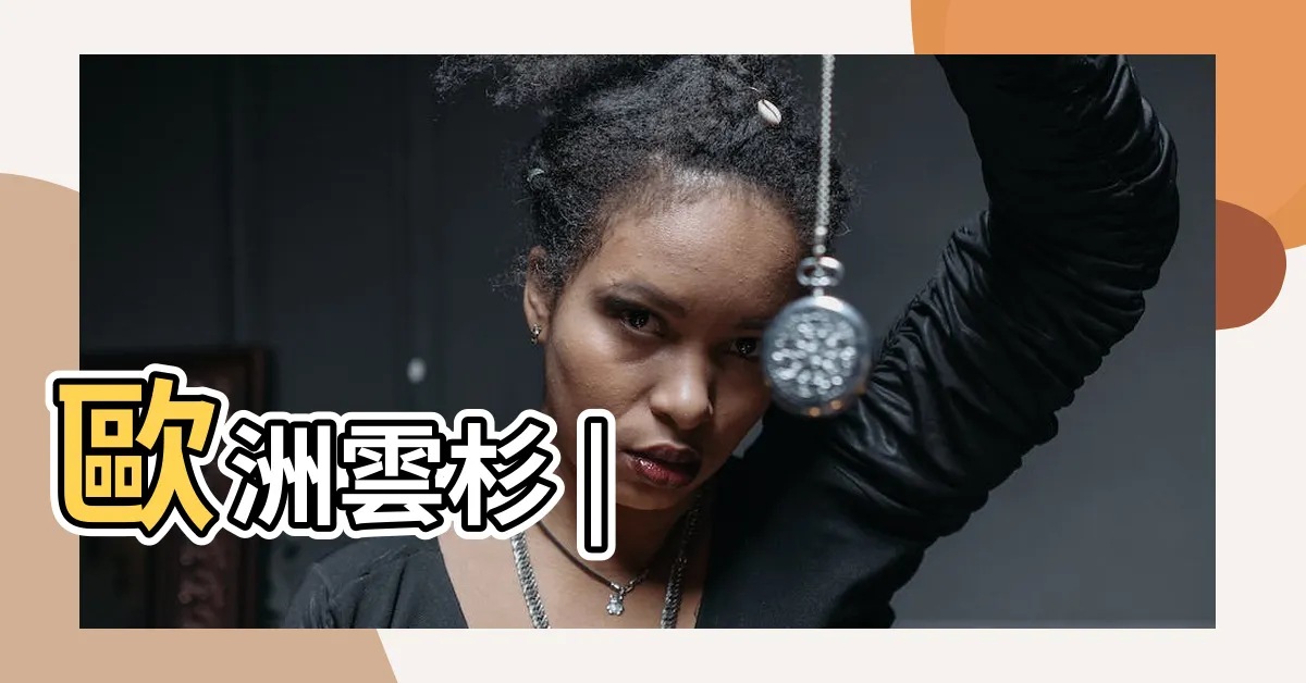 【雲杉木】歐洲雲杉 |