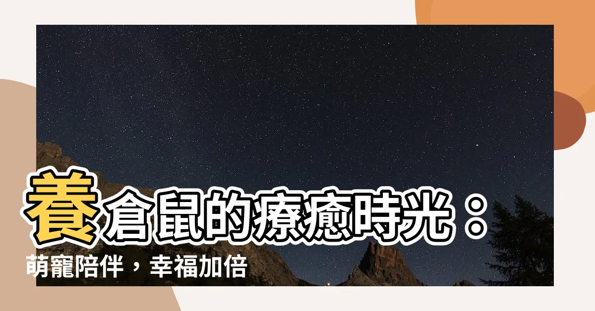 【養倉鼠的好處】養倉鼠的療癒時光：萌寵陪伴，幸福加倍