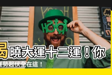 【大運 十二運】揭曉大運十二運！你的運勢起伏全在這！