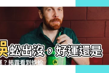 【看到蜈蚣代表什麼】蜈蚣出沒，好運還是衰運？揭露看到蜈蚣代表什麼