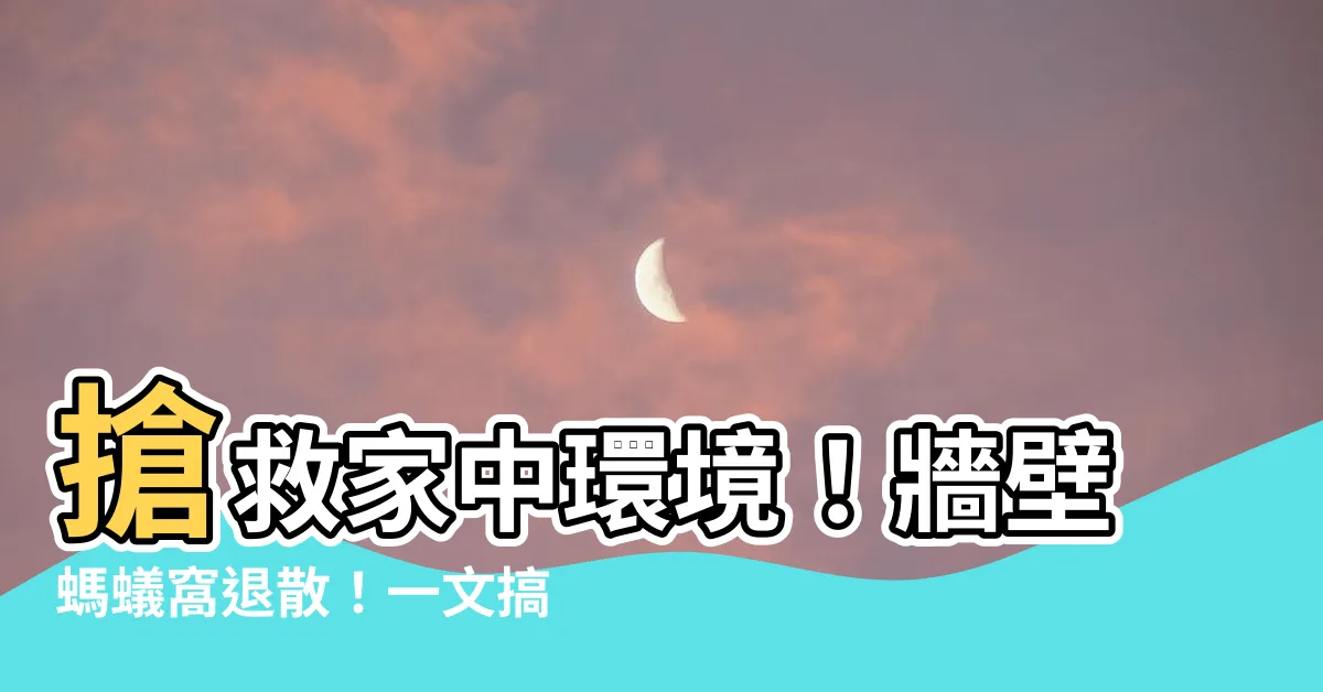 【牆壁螞蟻窩】搶救家中環境！牆壁螞蟻窩退散！一文搞定居家螞蟻危機
