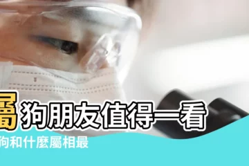 【屬狗最配的屬相是什麼意思】屬狗朋友值得一看 |屬狗和什麼屬相最配屬狗的屬相婚配表大全 |屬狗的跟什麼生肖最配 |