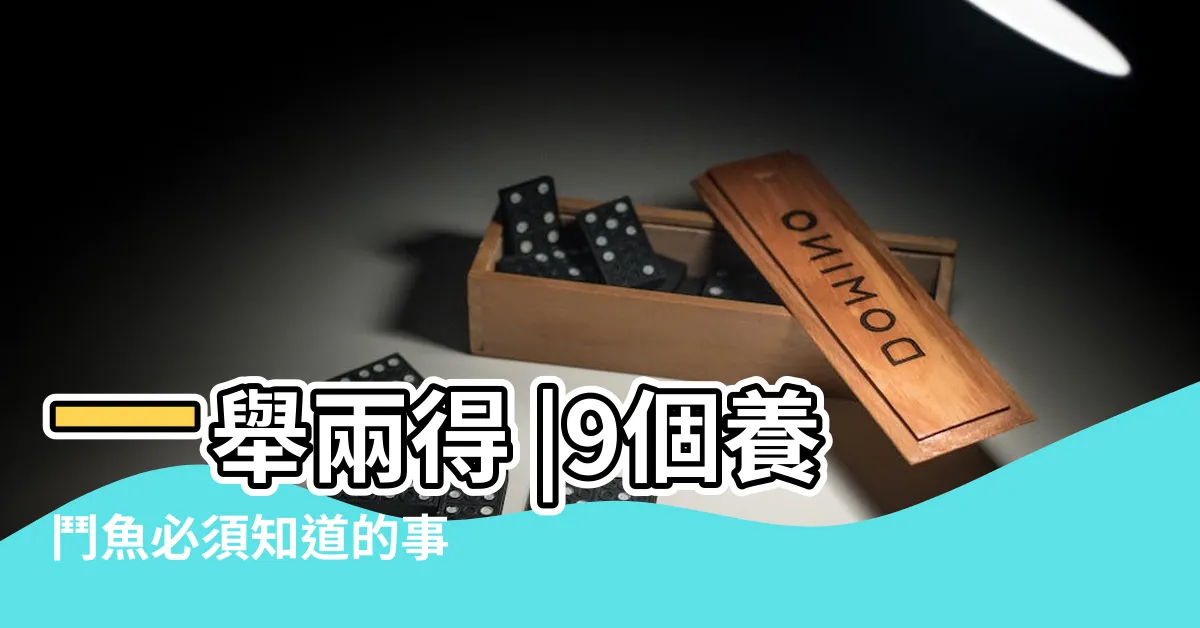 【養鬥魚好處】一舉兩得 |9個養鬥魚必須知道的事 |飼養蓋斑鬥魚兼具美觀好處多 |