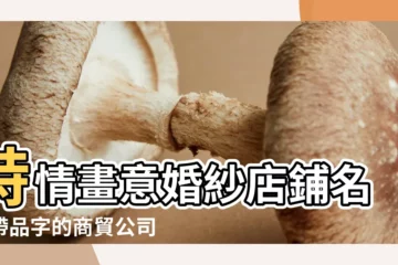 【詩情畫意婚紗店鋪名字】詩情畫意婚紗店鋪名字帶品字的商貿公司名字 |帶品字的商貿 |拍張詩情畫意的婚紗照吧 |