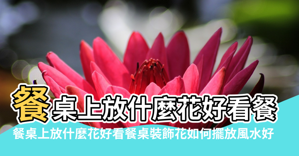 【風水餐桌上放什麼花好】餐桌上放什麼花好看餐桌裝飾花如何擺放風水好 |餐桌上放什麼花好看餐桌裝飾花如何擺放風水好 |家庭餐桌上放什麼花好 |