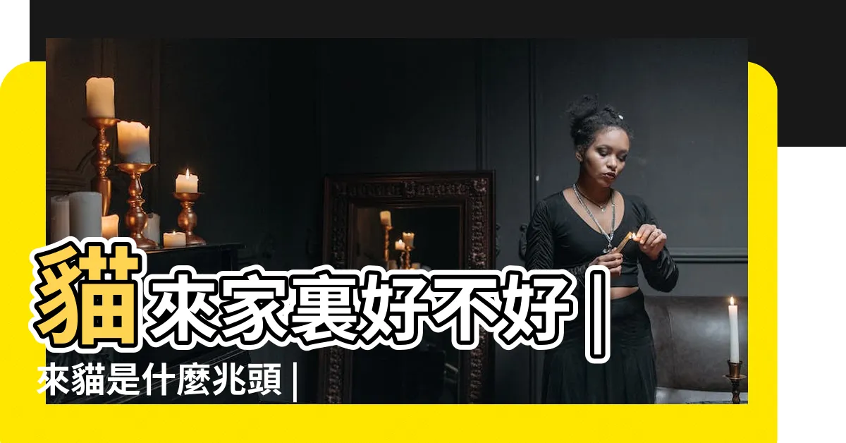【貓來家裏好不好】貓來家裏好不好 |來貓是什麼兆頭 |家裏來貓是什麼預兆 |