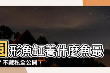 【圓形魚缸適合養什麼魚】圓形魚缸養什麼魚最美？不藏私全公開，看完秒懂！