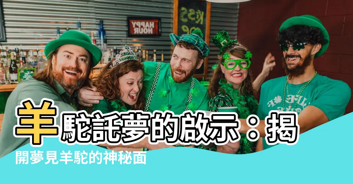 【夢見羊駝】羊駝託夢的啟示：揭開夢見羊駝的神秘面向