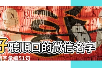 【2字微信名字大全2015最新版】好聽順口的微信名字五個字彙編51句 |高雅有內涵的微信名字2至4個字有氣質有內涵的 |兩字遊戲名字大全2015 |