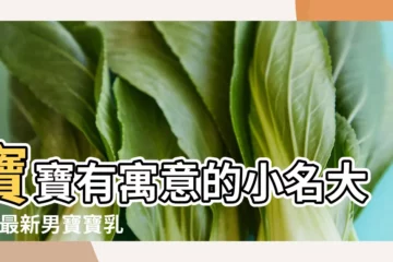 【給男孩起香港小名大全】寶寶有寓意的小名大全 |最新男寶寶乳名起名大全 |寶寶小名大全男孩 |