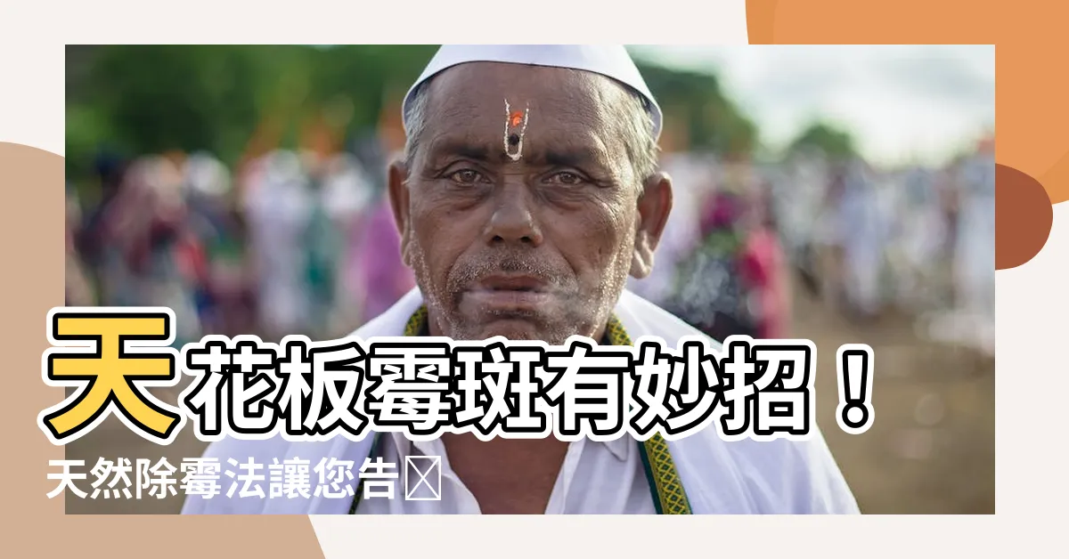 【天花板 除黴】天花板黴斑有妙招！天然除黴法讓您告別困擾