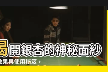 【銀杏效果】揭開銀杏的神秘面紗：效果與使用秘笈，一次掌握！