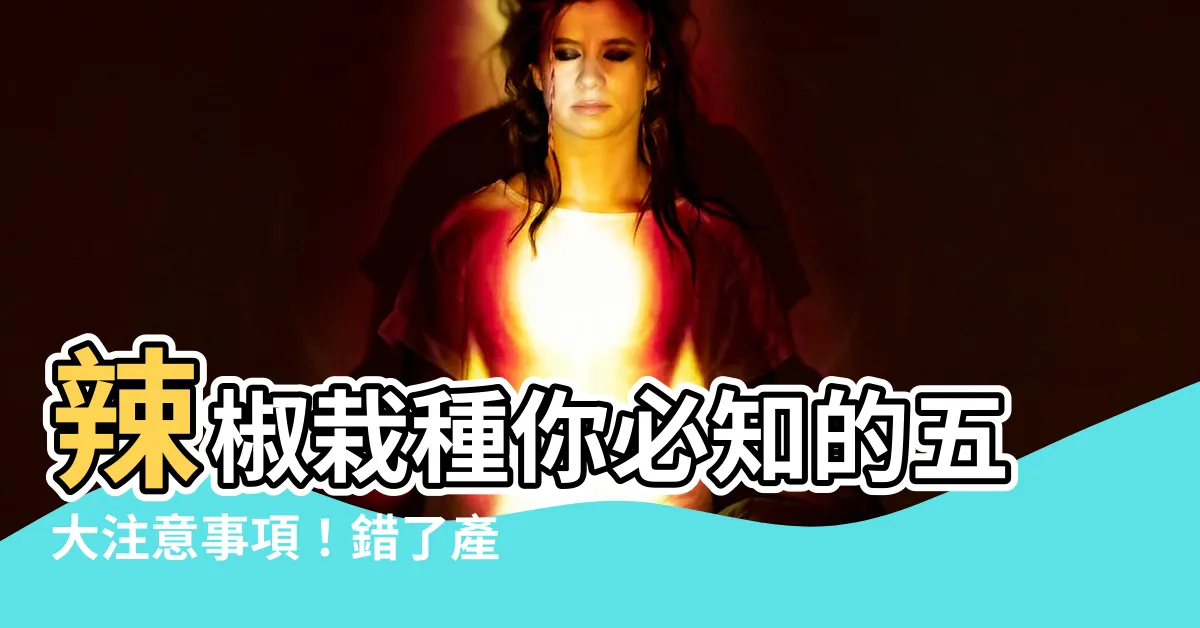 【種辣椒注意事項】辣椒栽種你必知的五大注意事項！錯了產量掉一半！