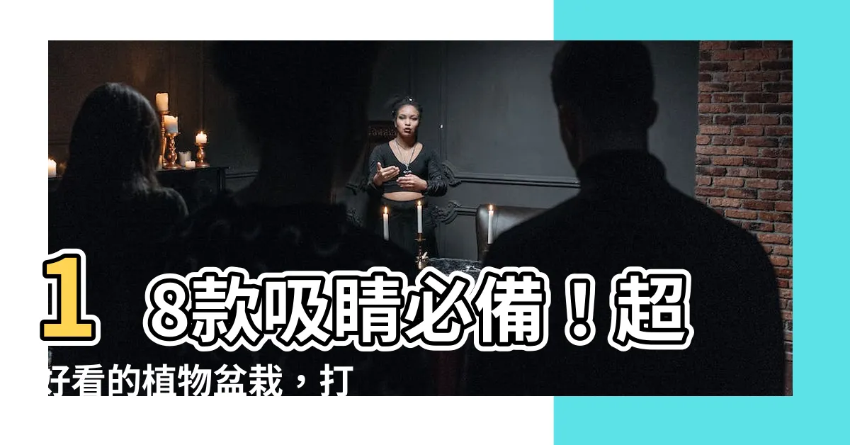 【植物盆栽】18款吸睛必備！超好看的植物盆栽，打造綠意擺設潮流