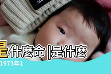 【73年10月出生是什麼命】是什麼命 |是什麼命 |1973年10月28日出生的人命好嗎 |