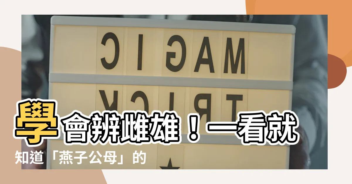 【燕子公母】學會辨雌雄！一看就知道「燕子公母」的這些特徵