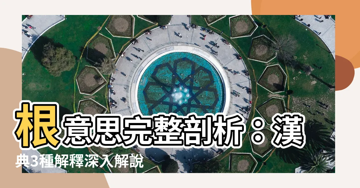 【根意思】根意思完整剖析：漢典3種解釋深入解説
