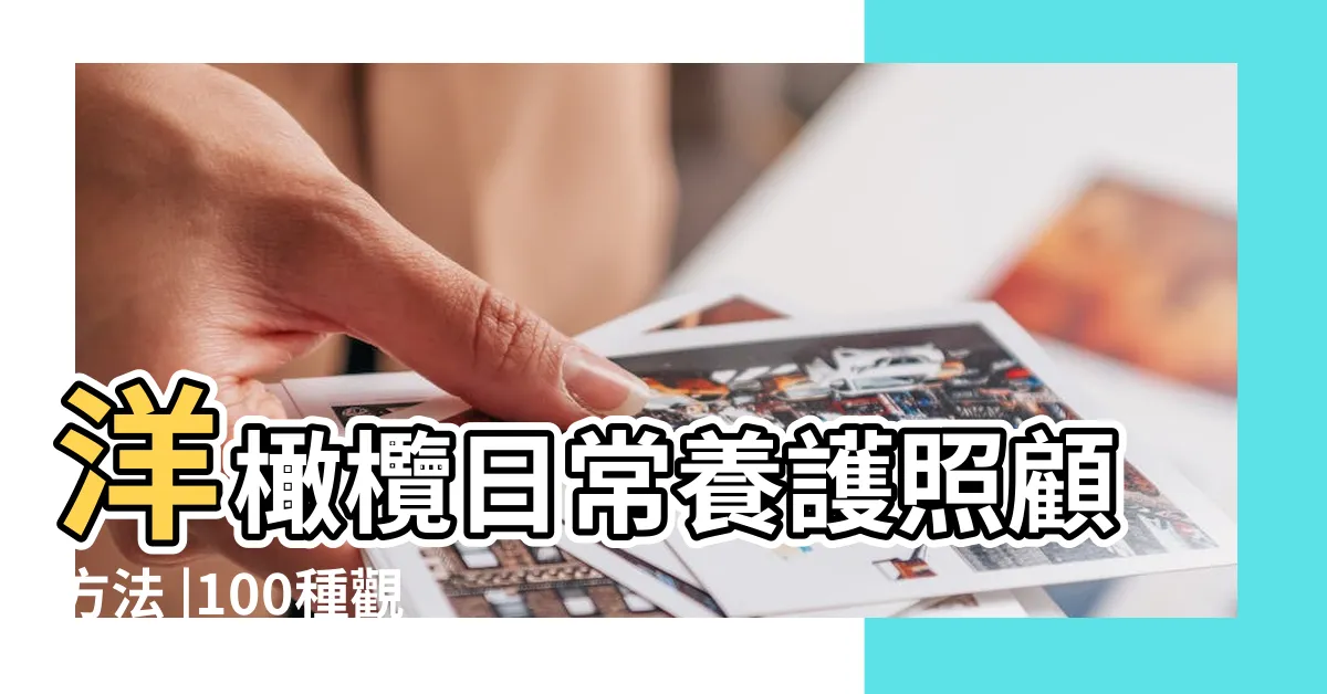 【油橄欖照顧】洋橄欖日常養護照顧方法 |100種觀葉植物 |