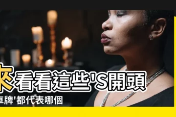 【s車牌】來看看這些'S開頭的車牌'都代表哪個國家或州屬吧！