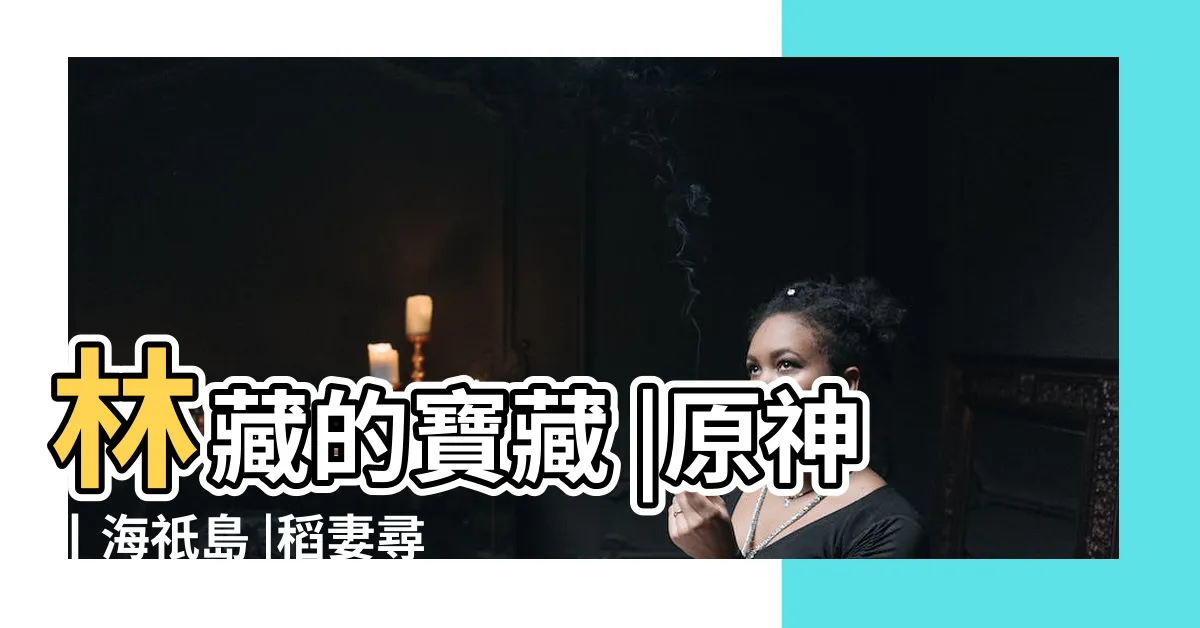 【北為一 東為二】林藏的寶藏 |原神丨海祇島 |稻妻尋寶篇 |