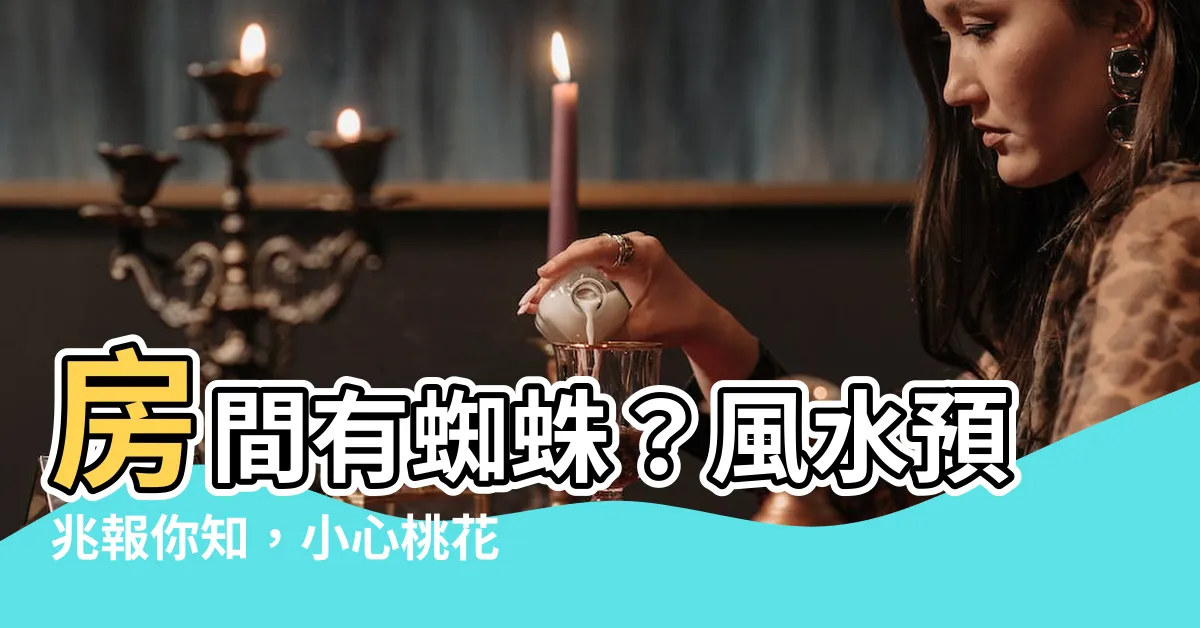 【房間有蜘蛛風水】房間有蜘蛛？風水預兆報你知，小心桃花劫和意外災禍！